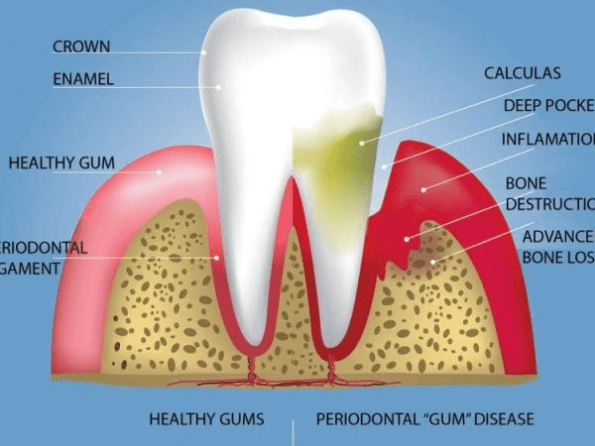 dental office in burke va